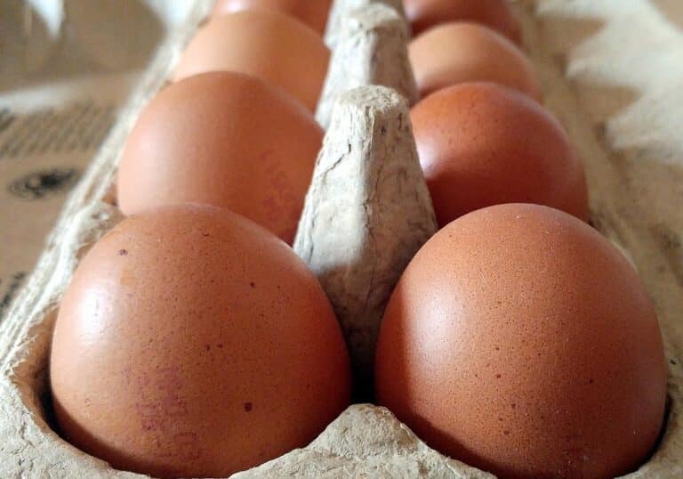 Eier (Archiv)