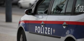 Österreichische Polizei
