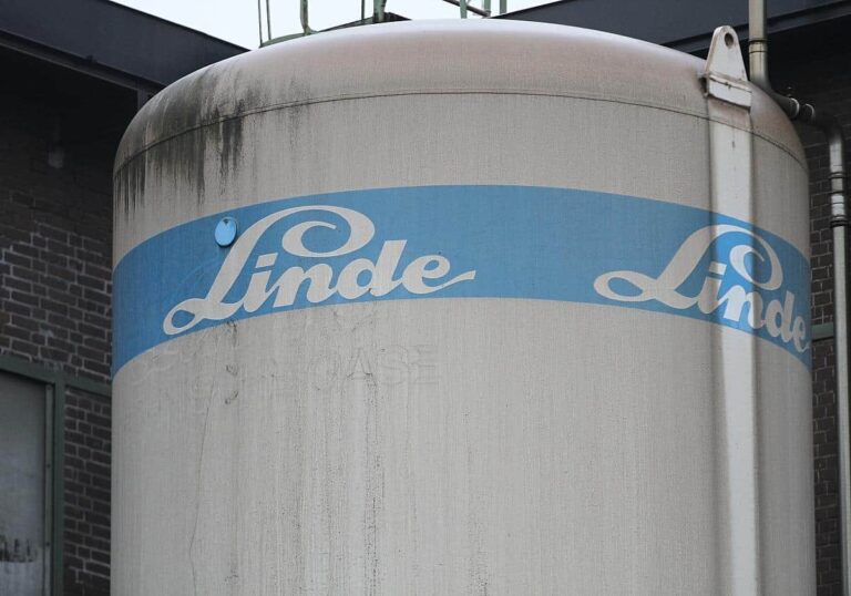 Linde (Archiv)