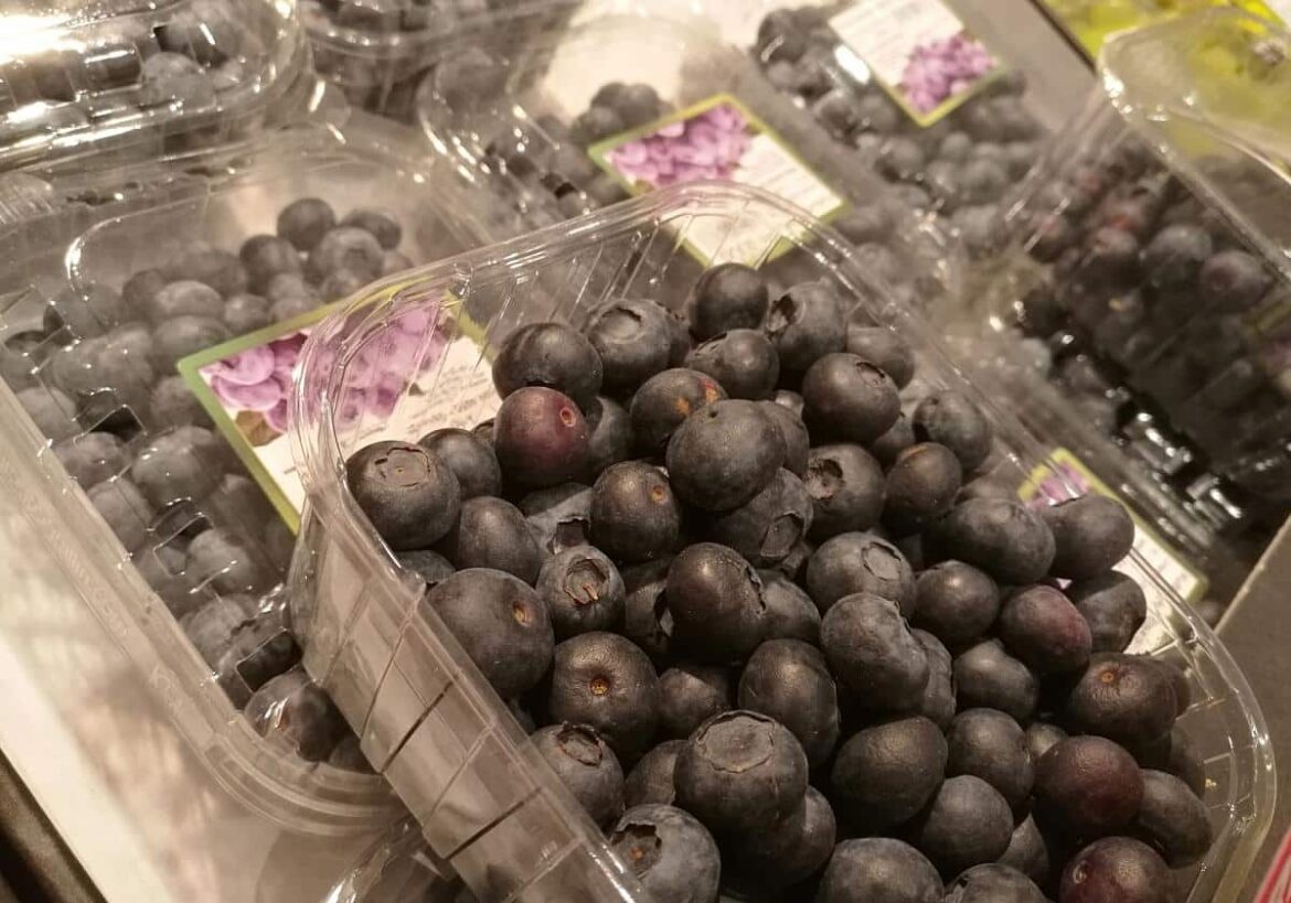 Heidelbeeren (Archiv)