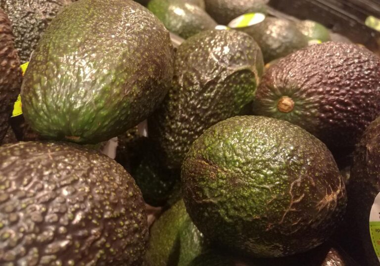 Avocado (Archiv)