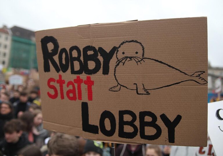 Fridays-for-Future-Protest (Archiv)