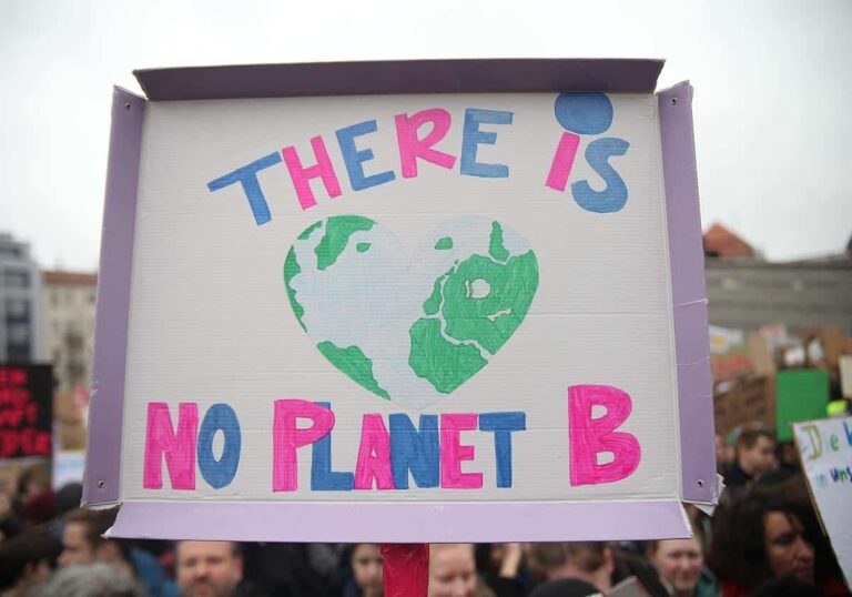 Fridays-for-Future-Protest (Archiv)