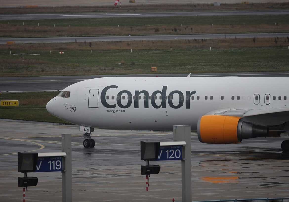 Condor (Archiv)