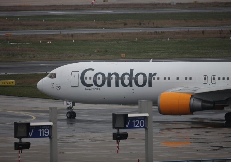 Condor (Archiv)