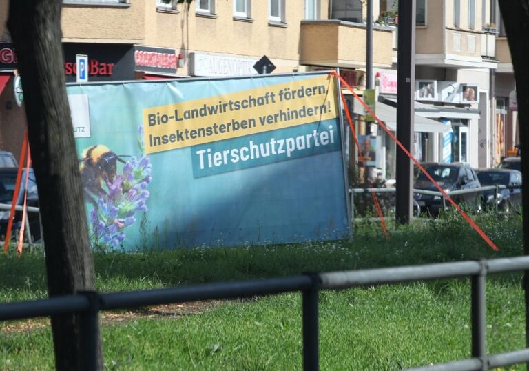 Wahlplakat für
