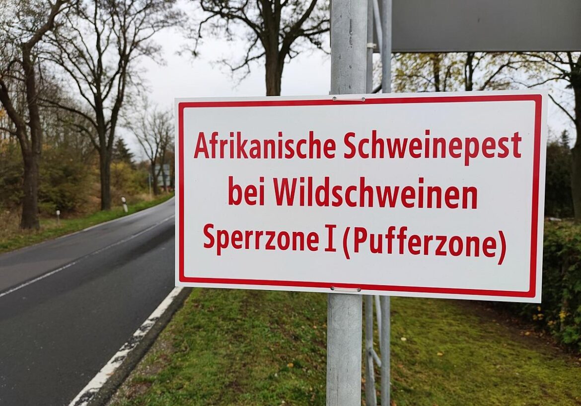 Warnschild Afrikanische