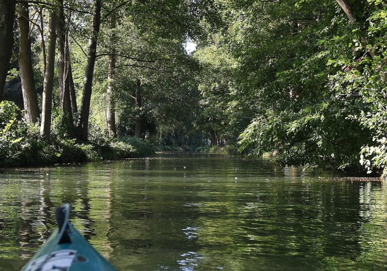 Spreewald (Archiv)