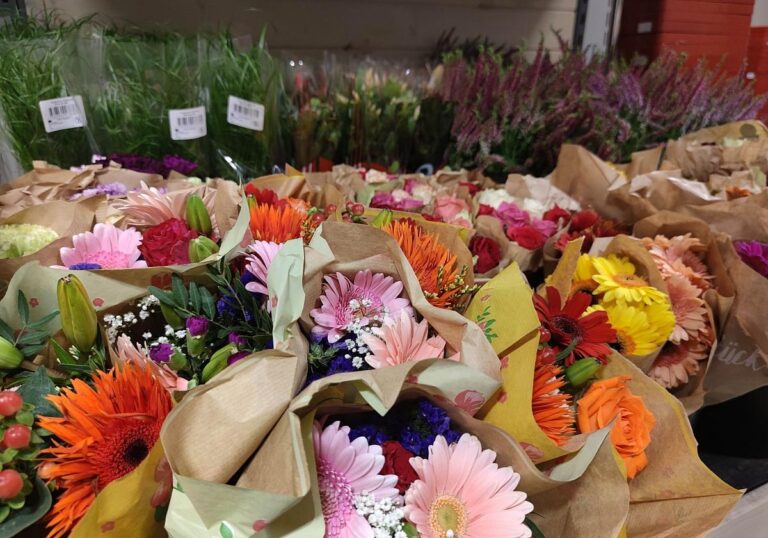 Blumen (Archiv)