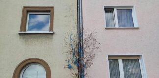 Maibaum vor