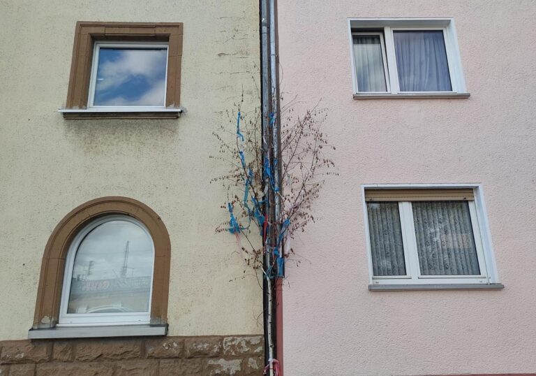 Maibaum vor