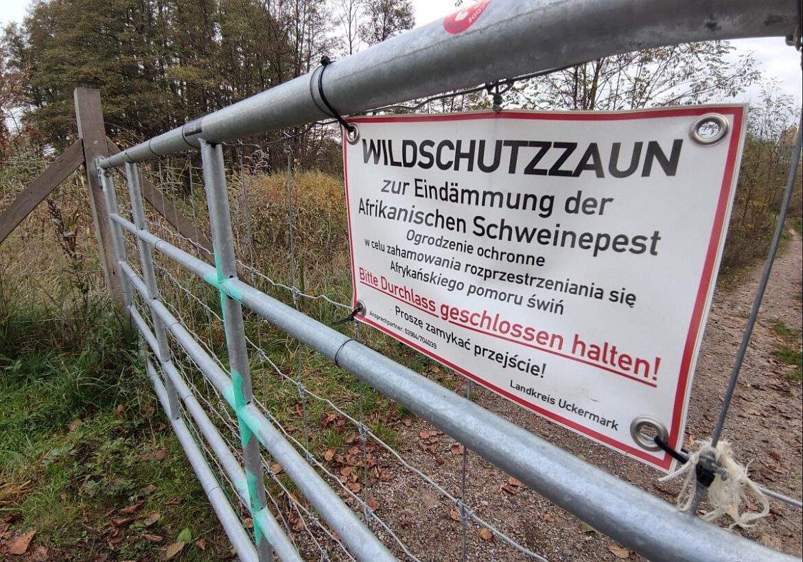 Wildschutzzaun gegen