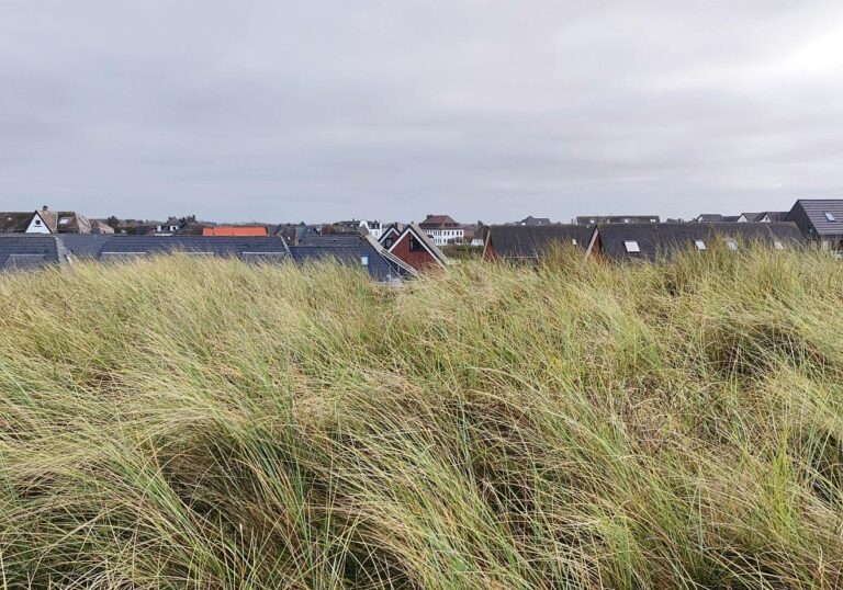 Häuser auf Sylt in den Dünen