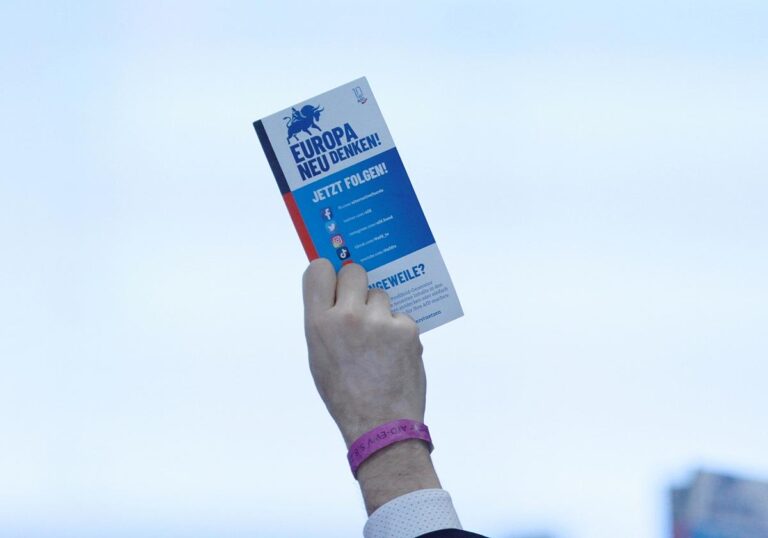 AfD-Europawahlversammlung (Archiv)
