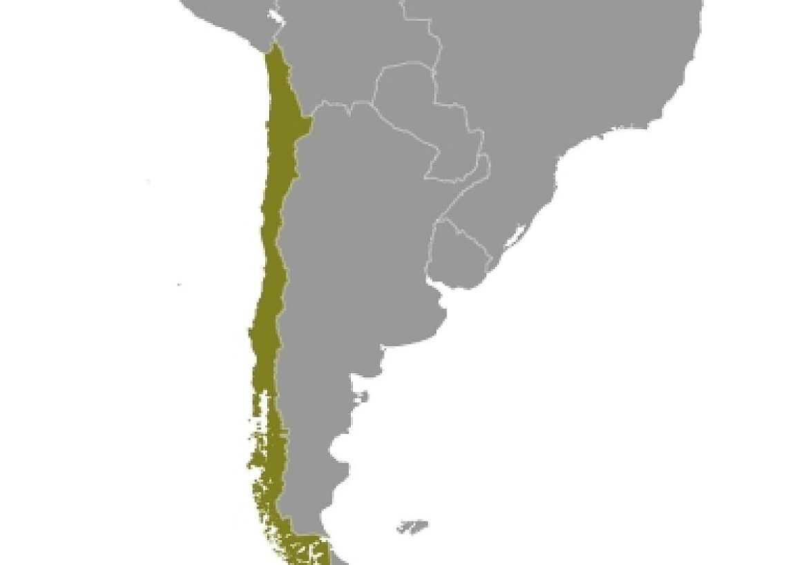 Chile (Archiv)