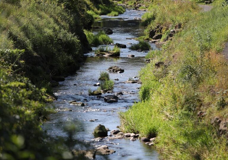 Fluss Sinn