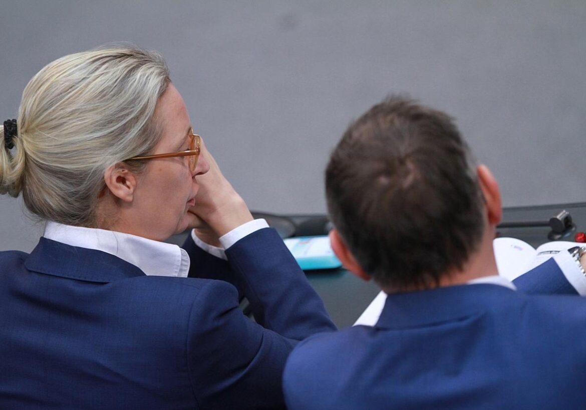 Alice Weidel