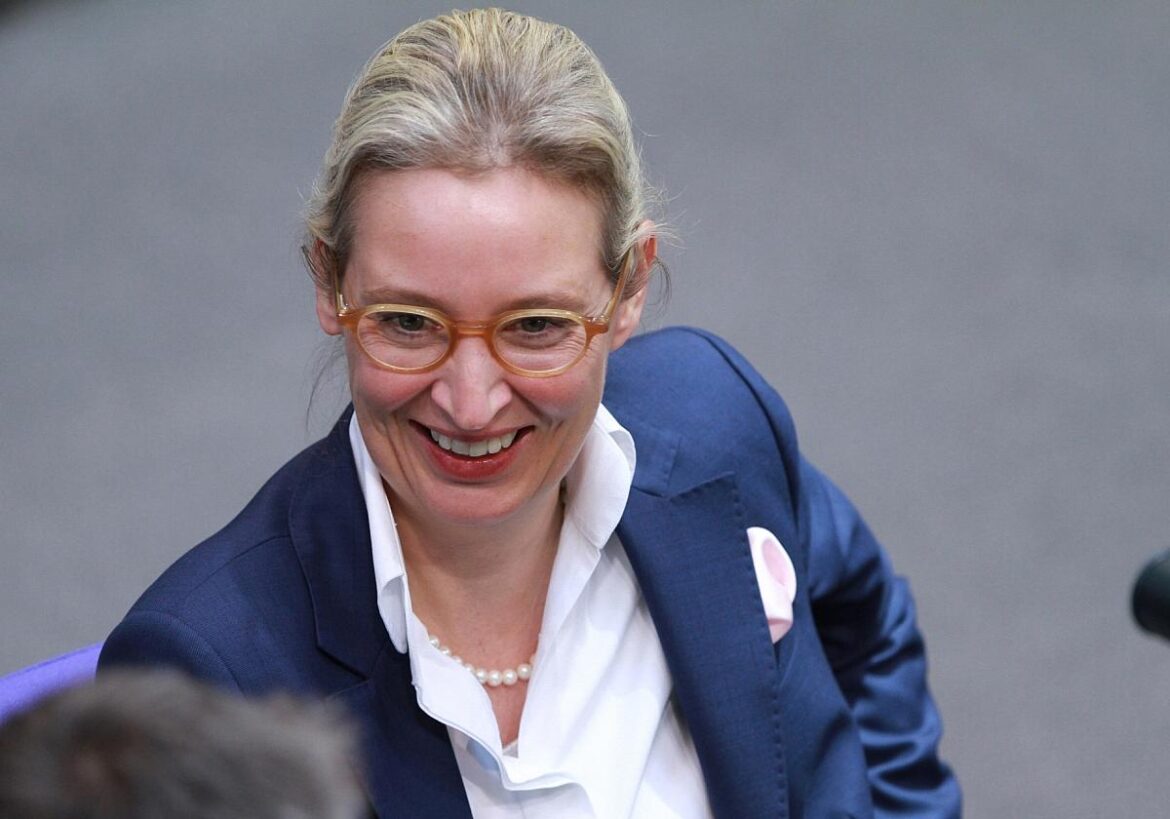 Alice Weidel