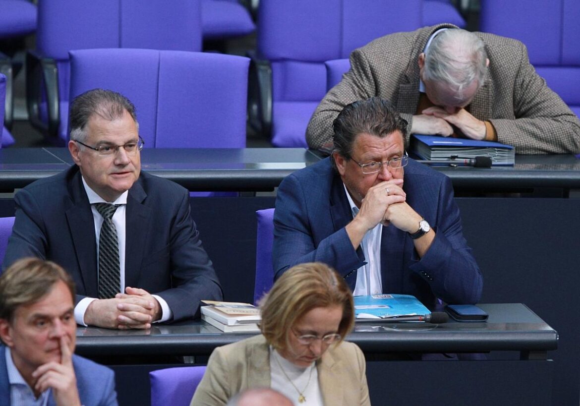 AfD-Abgeordnete am