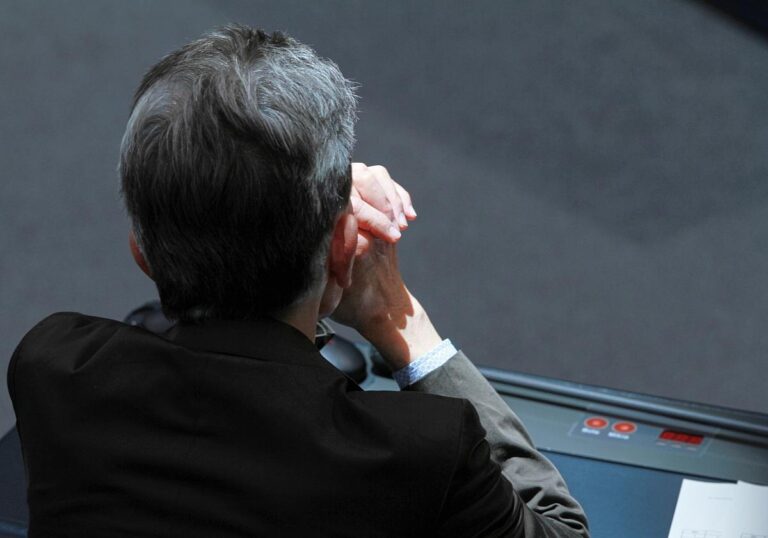 Rolf Mützenich