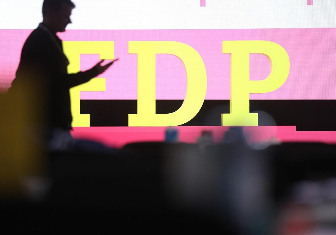 FDP-Logo auf