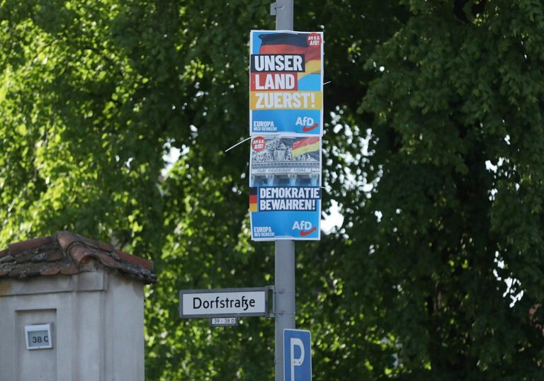 AfD-Wahlplakate zur