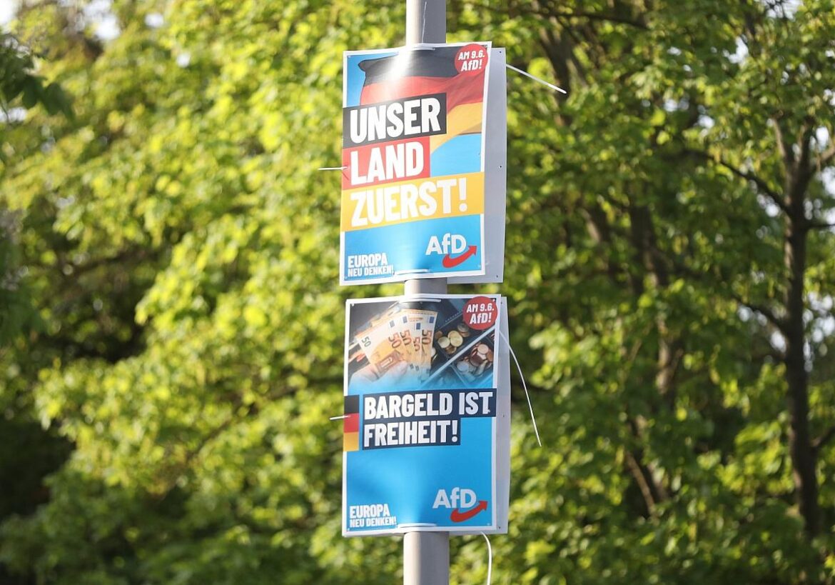 AfD-Wahlplakate zur