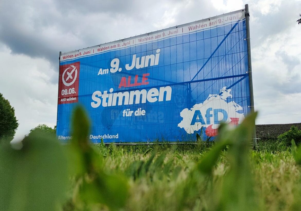 AfD-Wahlplakat in