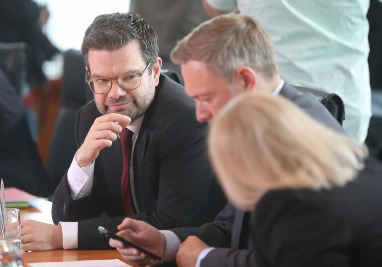 Marco Buschmann,