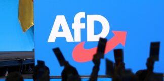 AfD-Logo am