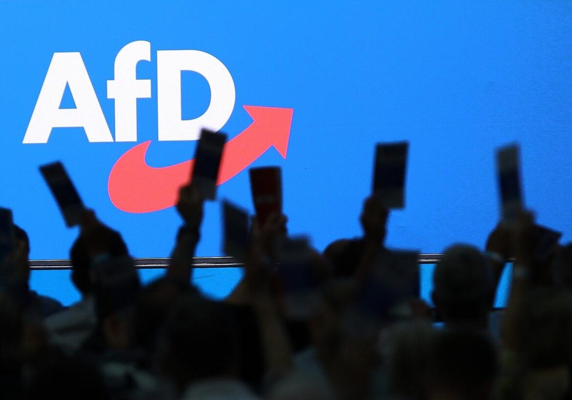 AfD-Logo (Archiv)