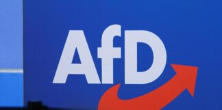 AfD-Logo (Archiv)