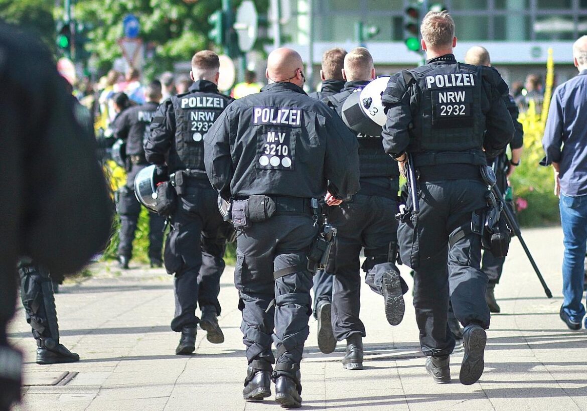 Polizei Proteste gegen AfD