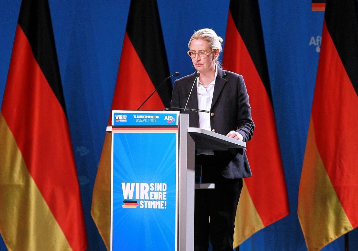 Alice Weidel
