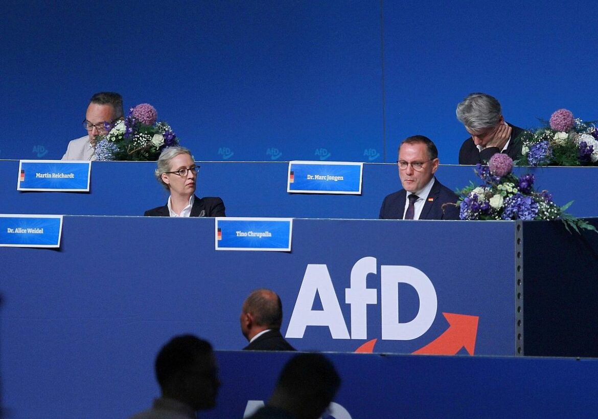 AfD-Parteitag am