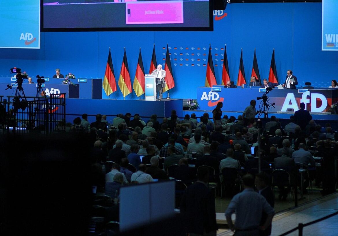 AfD-Parteitag (Archiv)