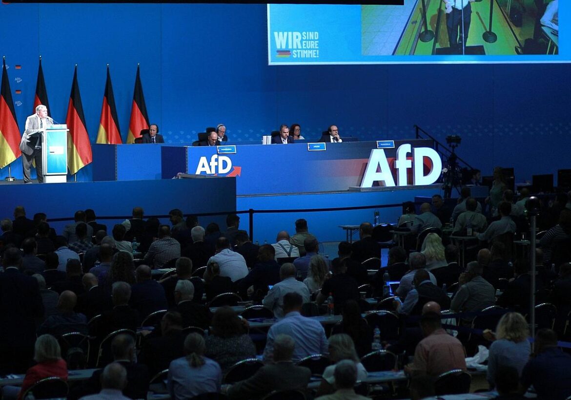 AfD-Parteitag (Archiv)