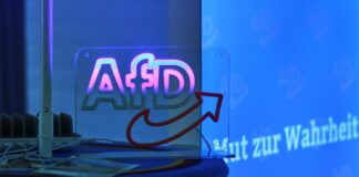 AfD-Logo (Archiv)