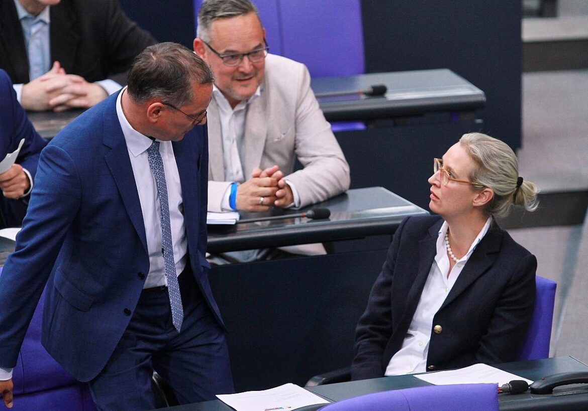 AfD-Abgeordnete Chrupalla,