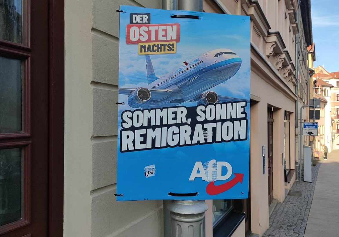 AfD-Wahlplakat zur