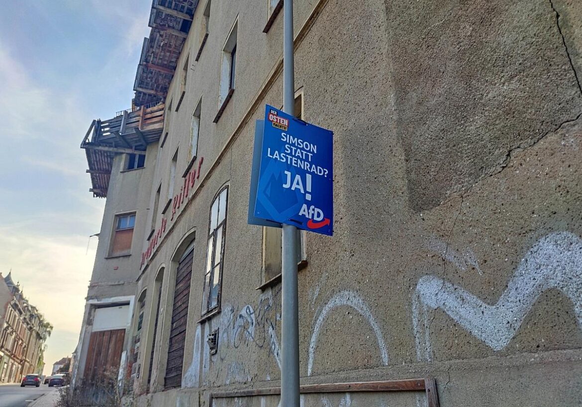 AfD-Wahlplakat zur