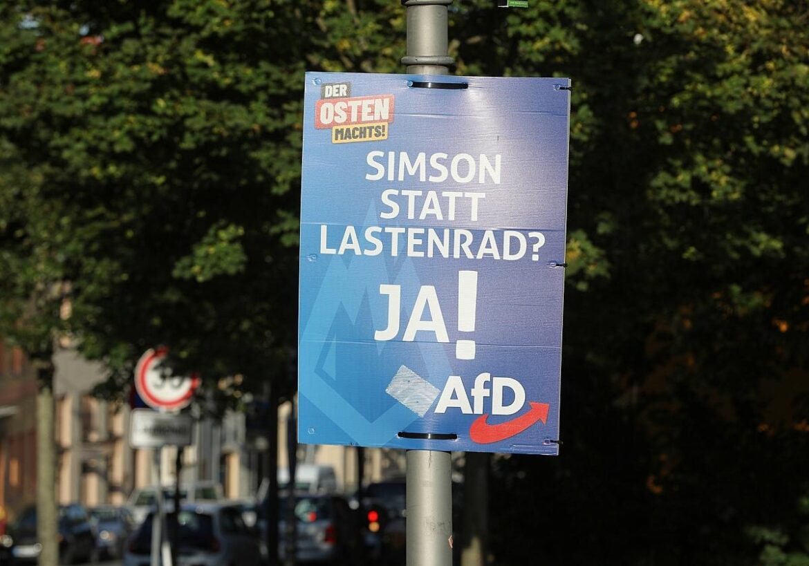 AfD-Wahlplakat zur