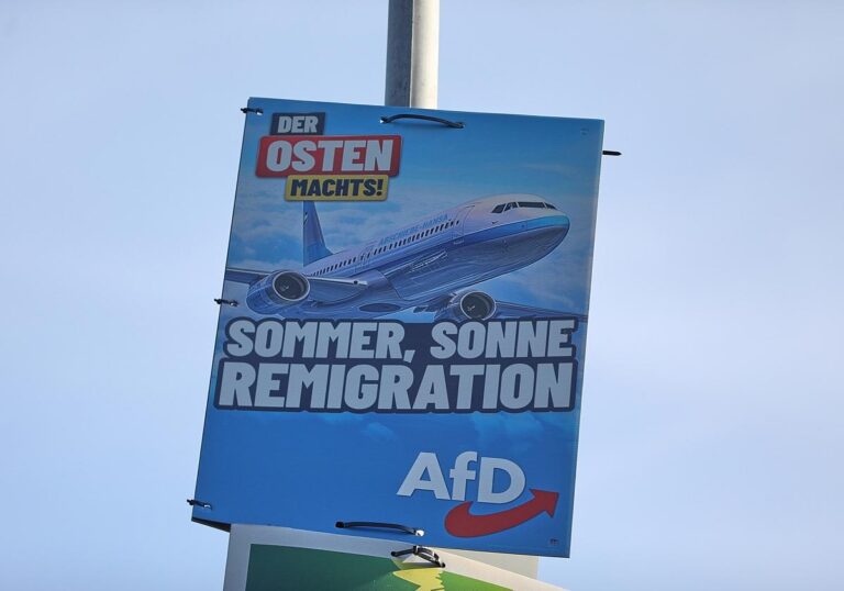 AfD-Wahlplakat zur