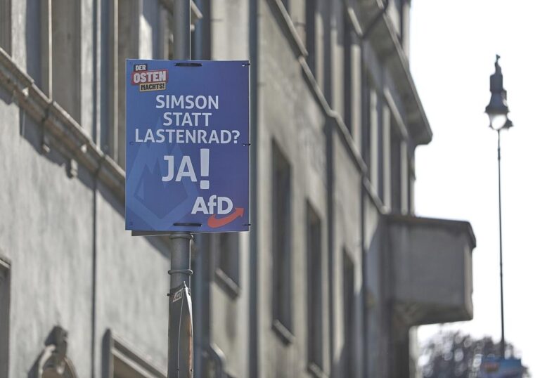 AfD-Wahlplakat zur
