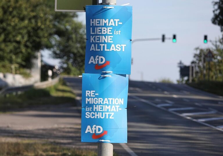 AfD-Wahlplakate zur
