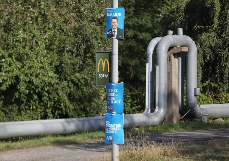 AfD-Wahlplakate zur