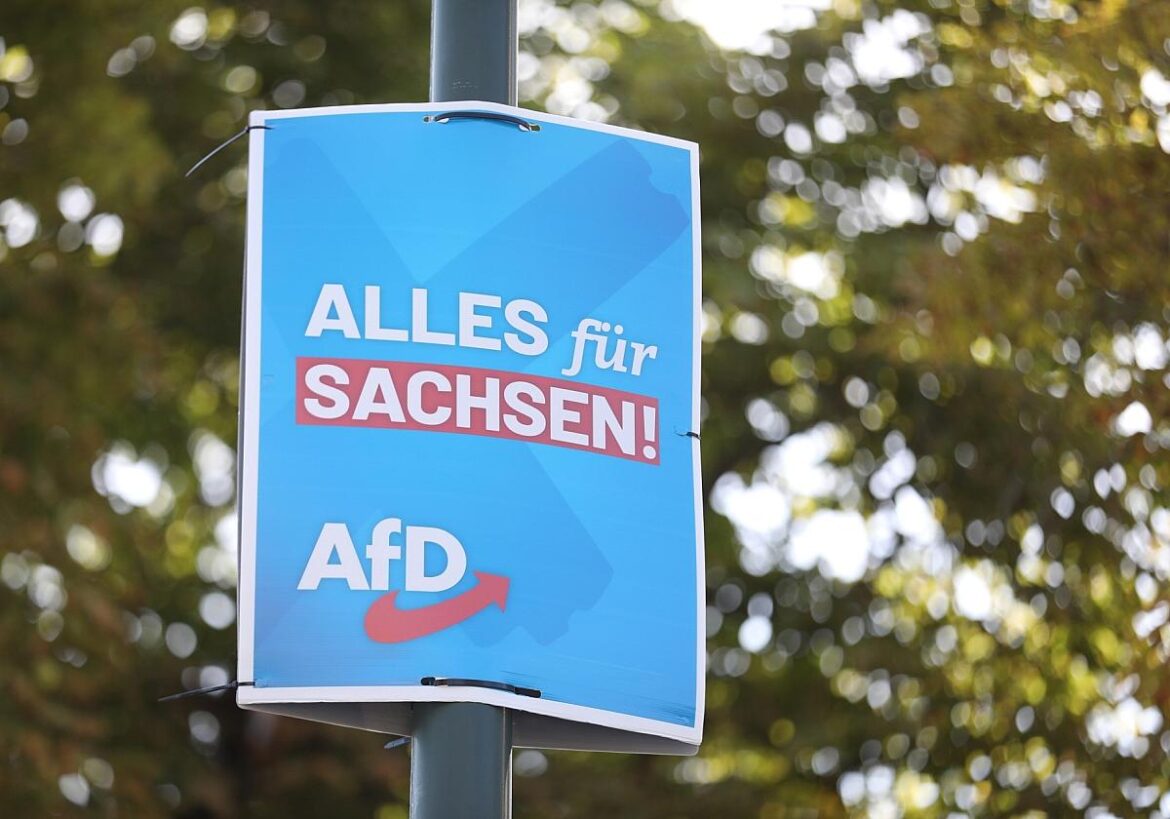 AfD-Wahlplakat zur