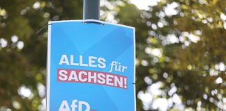 AfD-Wahlplakat zur