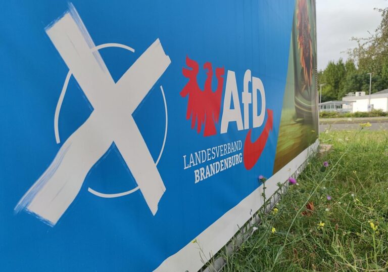 AfD-Wahlplakat zur