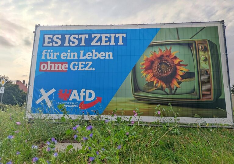 AfD-Wahlplakat zur
